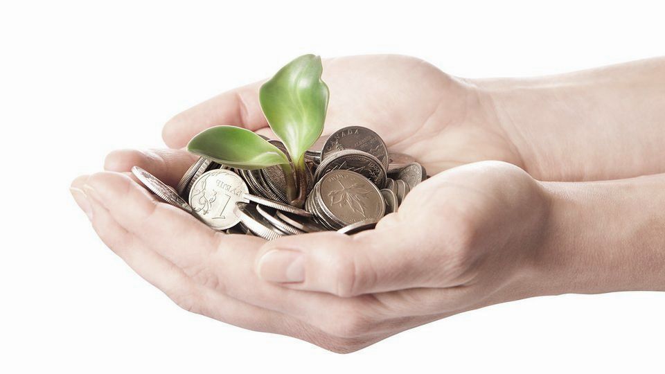 Cupped hands holding coins with a green sprout