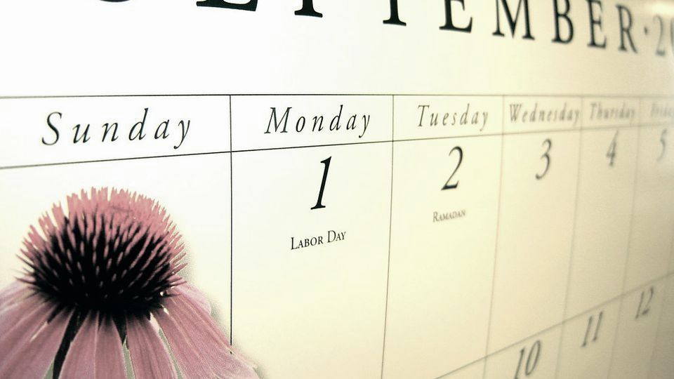 Close-up of a wall calendar page beside a coneflower